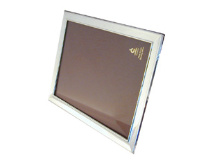 VIENNA picture frame - medium size